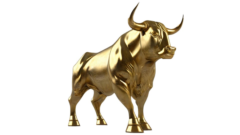 Introducing The Bull Case